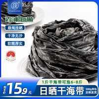 元泷 干海带500g 福建霞浦日晒特厚海带干货 煲汤火锅 源头直发