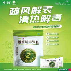 六棉牌 银翘解毒颗粒 15g*10袋清热解毒风热感冒咳嗽口干咽喉痛