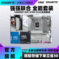 技嘉 10核16线程 CPU主板套装