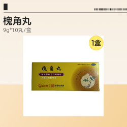 达仁堂 槐角丸 9g*10丸/盒