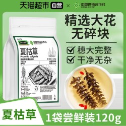 SUN CLARA 车前草中草药材尿酸茶高降袋搭夏枯草车前草茶干净新鲜泡水喝