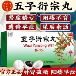 同仁堂 北京同仁堂五子衍宗子丸正品官方旗舰店补肾益精肾虚阳痿遗精早泄