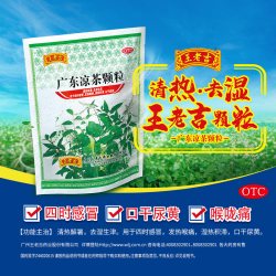 王老吉 广东凉茶颗粒王老吉正品20袋清热解暑降火凉茶去湿上火四季感冒