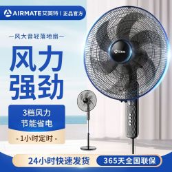 艾美特 风力强劲聚风风扇定时左右自动摇头空气循环空调伴侣落地扇