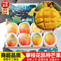 闽域寻鲜 攀枝花凯特芒现摘新鲜四川青皮芒果整箱应季热带水果甜心芒包邮 净重2.5斤丨单果300-400g丨果农优选