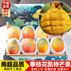 闽域寻鲜 攀枝花凯特芒现摘新鲜四川青皮芒果整箱应季热带水果甜心芒包邮 净重2.5斤丨单果300-400g丨果农优选