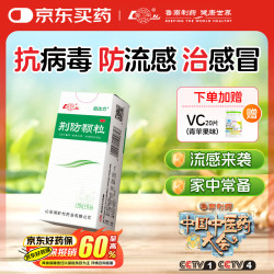 鲁南 荆防颗粒 15g