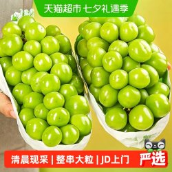 京运达 阳光玫瑰葡萄 新鲜水果