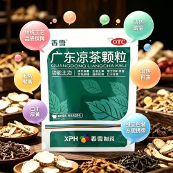 香雪 广东凉茶颗粒清热解暑去湿气感冒发热喉咙痛尿黄上火冲剂20袋