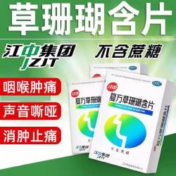 江中食疗 江中复方草珊瑚含片48片咽喉肿痛声哑失音消肿止痛无糖润喉嗓子疼