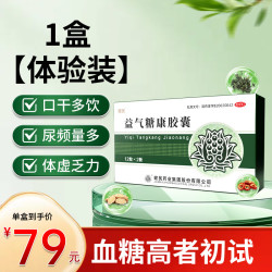 健民 益气糖康胶囊健民药业糖尿病治疗胶囊血糖药益气养血气阴两虚中药