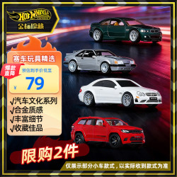 Hot Wheels 汽车文化系列 FPY86 1款 合金车模