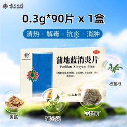 云丰 蒲地蓝消炎片云南白药消炎药蒲地兰清热解毒消肿葵花咽炎肿痛