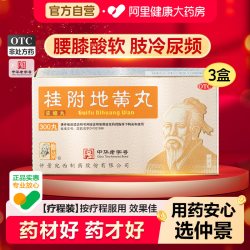 仲景 桂附地黄丸中药丸剂仲景牌八味官方正品浓缩肾阳虚补肾张