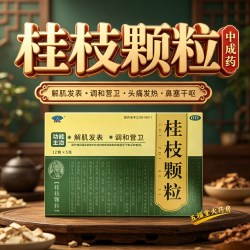 漳河 桂枝颗粒冲剂中药山西太行12袋外感风邪头痛发热鼻塞干呕正品
