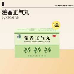 仲景 藿香正气丸健胃健脾制药官方旗舰店正品老牌子香砂仲景牌口服