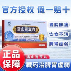 世雅达 雪山胃宝丸藏药官方旗舰店24丸盒胃疼胃胀胃酸胃寒反胃嗳气胃药