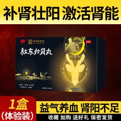 敖东 壮肾丸男士用补肾壮阳益气补气血气血虚弱肾阳不足正品旗舰店