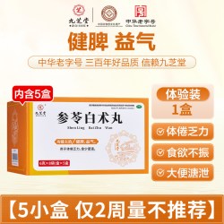 九芝堂 参苓白术丸健脾益气体倦乏力食少便溏祛湿正品官方旗舰店