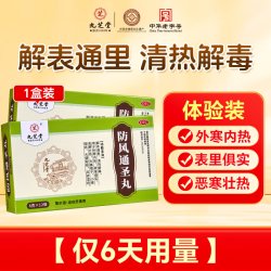 九芝堂 防风通圣丸正品清热解毒咽干风疹湿疮小便短赤中药官方旗舰