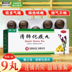 健之佳 昆中药健之佳清肺化痰丸9g*9丸肺热咳嗽痰多气喘止咳平喘降气化痰