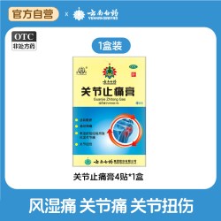 雷公 云南白药雷公关节止痛膏4贴风湿关节痛消炎止痛散瘀扭伤旗舰店