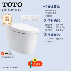 TOTO 全自动智能马桶妇洗智能一体坐便器G5Lite