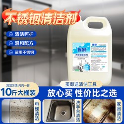 雅狮 不锈钢清洁光亮剂 电梯门栏杆轿厢清洗剂 5KG 液体 强力去污