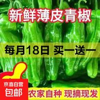 薄皮苏椒芜湖椒超薄皮微微辣鲜脆青椒彩椒 新鲜绿尖椒2斤
