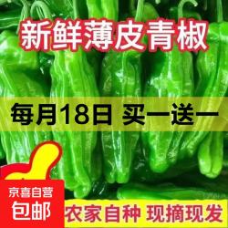 薄皮苏椒芜湖椒超薄皮微微辣鲜脆青椒彩椒 新鲜绿尖椒2斤