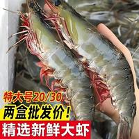 海水大虾特大号新鲜冷冻海虾盐冻白虾低脂虾整箱批发