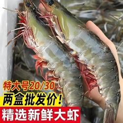 海水大虾特大号新鲜冷冻海虾盐冻白虾低脂虾整箱批发