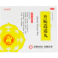 昆中 药丹栀逍遥丸20袋