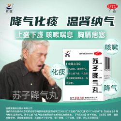 紫鑫 苏子降气丸丸药化痰官方止咳平喘正品祛痰自营药房定喘口