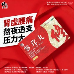 修正 参茸丸补肾固精强肾壮阳用手过度早泄大蜜丸治疗男士补虚中药