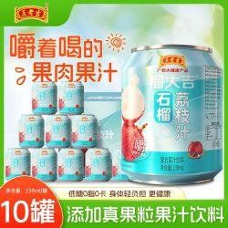 王老吉 果汁饮料荔枝果汁果肉238ml*10罐装