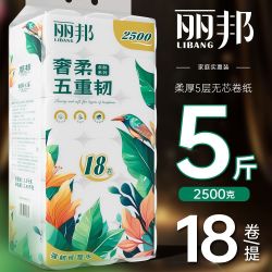 丽邦 卫生纸加厚卷纸家庭装宿舍批发纸厕纸卷筒纸纸巾