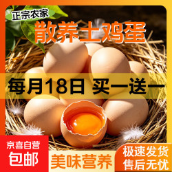 买一送一 新鲜鸡蛋农家散养土鸡蛋虫草谷物饲养鸡蛋笨鸡蛋单枚40g左右 共土鸡蛋20枚