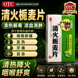 双泉 清火栀麦片24片清热解毒凉血消肿咽喉肿痛发热牙痛目赤吃什么药NN