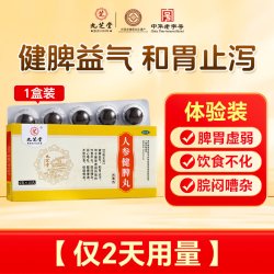 九芝堂 人参健脾丸