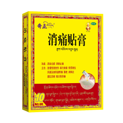 奇正 消痛活血通络止痛肩周炎腰肌劳损风湿贴膏 1贴*10袋/盒