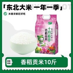十月稻田 香稻贡米5kg东北大米香米饭团用米2024年新米