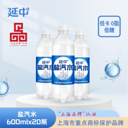 延中 碳酸饮料 低能量 咸味
