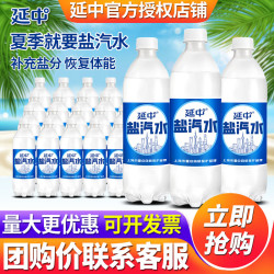 延中 碳酸饮料 低能量 咸味