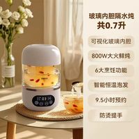 天际 燕窝炖盅隔水炖家用全自动迷你新款养生壶花胶滋补专用