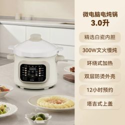 天际 新款全陶瓷内胆电炖锅煲汤家用3-4人3L大容量炖汤锅
