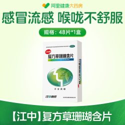 江中食疗 江中复方草珊瑚含片刀片嗓咽炎喉咙痛效期至26年11月底润喉片官方