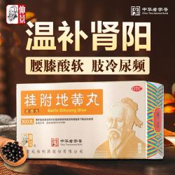 仲景 桂附地黄丸浓缩丸300丸温补肾阳腰膝酸软肢冷尿频