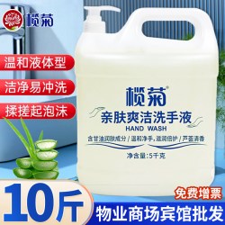 榄菊 芦荟洗手液大桶5kg*3桶带泵头家庭商用酒店餐厅温和洁净整箱