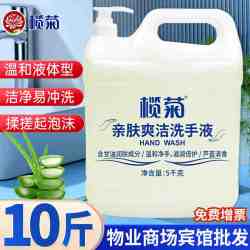 榄菊 芦荟洗手液大桶5kg*10桶带泵头家庭商用酒店餐厅温和洁净整箱